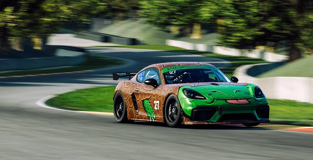 Porsche turtle livery design